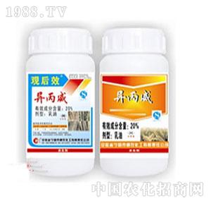 ���r-20%����������