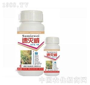 ���r-20%�ٜ�������