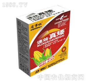 �²�����-�氫�����b��