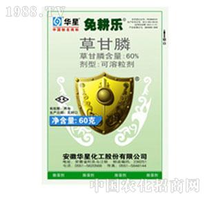 �A��-60%�ݸ��SG���������