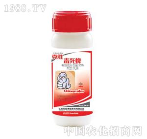 �˄�-�����磨���ѣ�