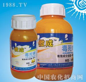 �ϸ�֮·-���ɣ�40%������ˮ�鄩��