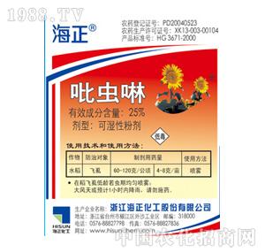 ��������-������25%���x��WP5�ˣ�