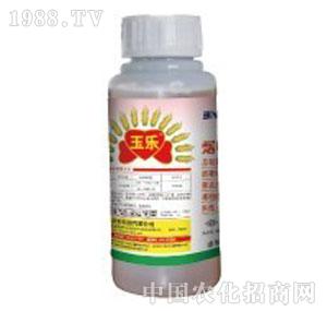 �I�r(n��ng)�Ƽ�-��(l��)�I�r(n��ng)����