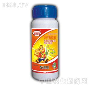 ����F-��(zh��n)��