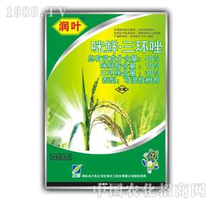 ����F(tu��n)-���~