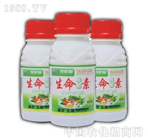 ����-����������