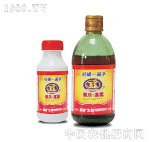 ����-ѿ��һ���