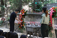 �𱬾W(w��ng)���^�S���ь�܊�ʾӣ��錢܊���I(xi��n)���@��