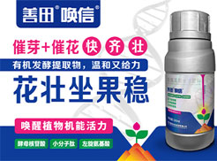 �Ĵ������r(n��ng)���Ƽ����޹�˾